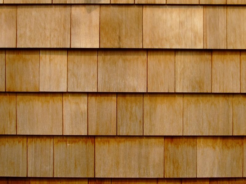 Siding Material Options