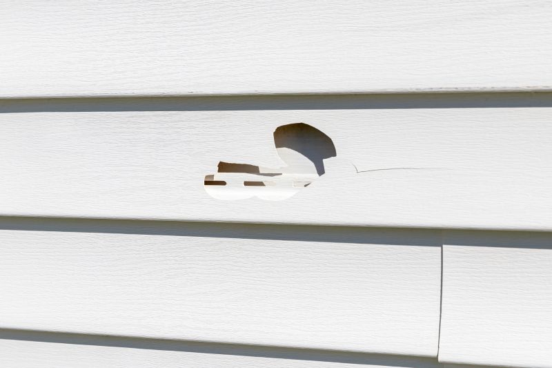 Vinyl Siding Repair Installation - Image 1
