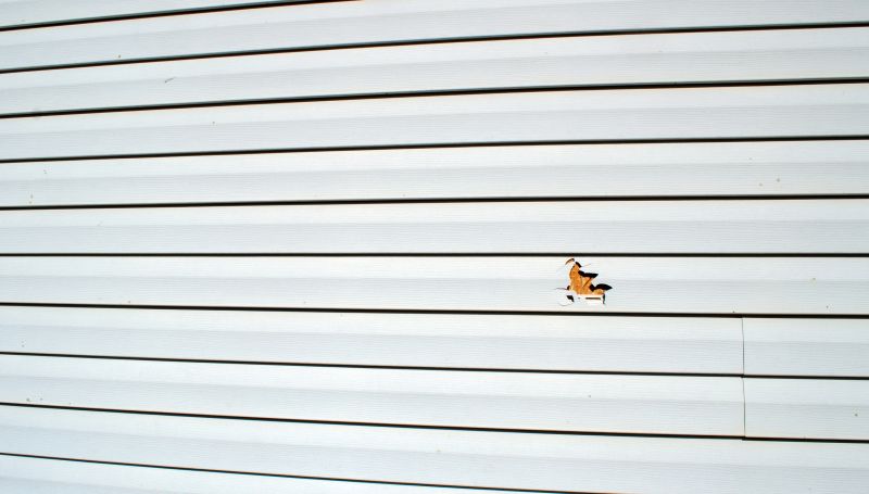 Vinyl Siding Repair Service - Image 1